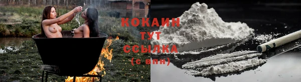 скорость Лиски