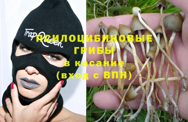 а пвп мука Магадан