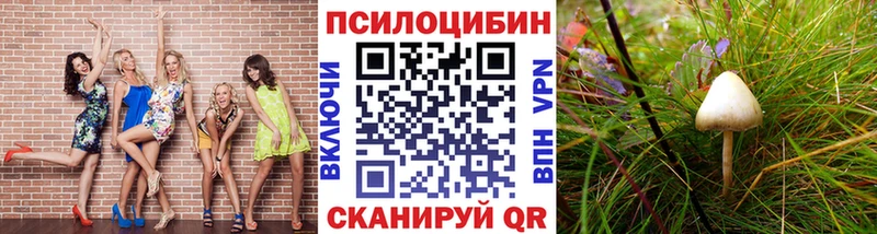 Галлюциногенные грибы мухоморы  Купить закладки  Орлов 