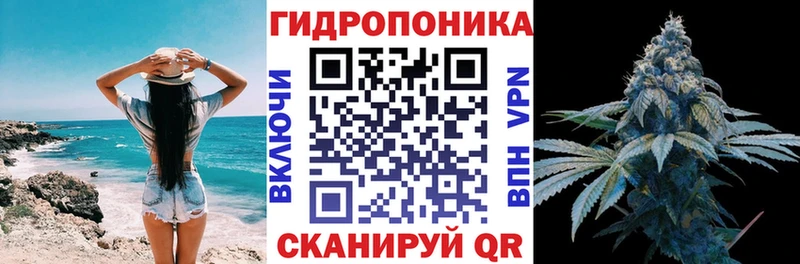 Каннабис план  Купить  Орлов 